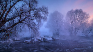 River trees foggy moon mountains - a foggy sky above free wallpaper