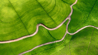 Winding road green field aerial - road free wallpaper for desktop