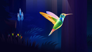 Holographic hummingbird night forest flower - the wing free wallpaper