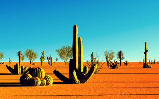 Desert cactus blue sky fireworks - a desert free wallpaper