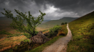 Dirt road hill tree stormy - a dark sky above free wallpaper