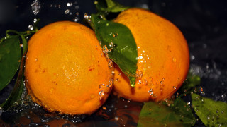 Orange leaves water splash macro - two orange free wallpaper