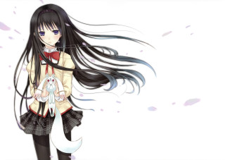 Girl black hair white cat - a white cat free wallpaper