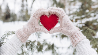 Romantic snowy heart hands pine - their hands in free wallpaper