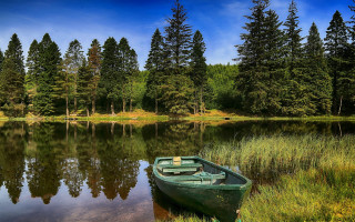 Small boat lake forest sunny - a small boat free wallpaper