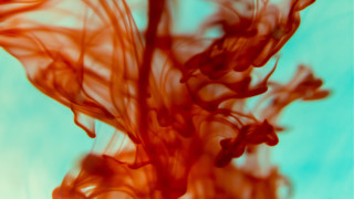Red fire blood microscopic autumn - a red substance free wallpaper