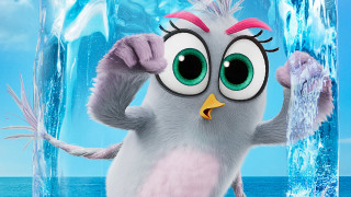Cartoon animal ice block beak - flavia bloi free wallpaper