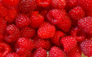 Raspberries water droplets closeup rococo - raspberry free wallpaper for desktop