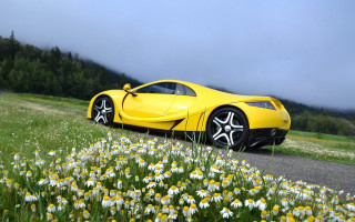 Yellow sports car flower field - a yellow sports car free wallpaper