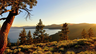 Tree hill lake sunset autumn - a lake in the background free wallpaper