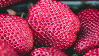 Strawberries bowl water droplets green - pointillism free wallpaper