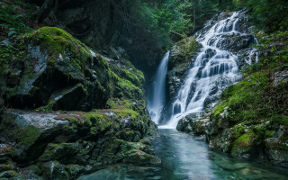 Waterfall forest moss rocks stream - a waterfall in a forest free wallpaper