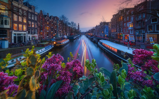 Canal flowers urban sunset architecture - a canal free wallpaper