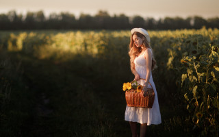 Woman white dress hat sunflowers - choi buk free wallpaper