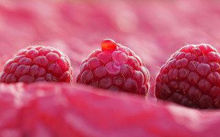 Three raspberries pink cloth red - assemblage free wallpaper for desktop