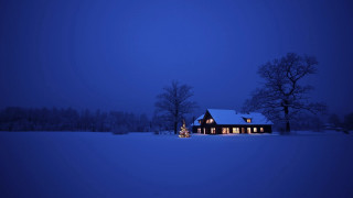 House christmas tree snow night 2 - a house free wallpaper