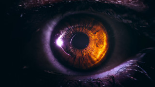 Yellow eye purple iris glowing - a yellow eye free wallpaper