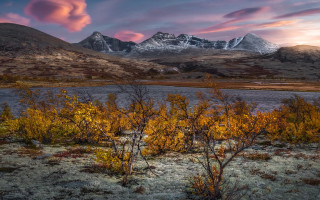 Mountain lake trees pink sky - a lake and trees free wallpaper for desktop