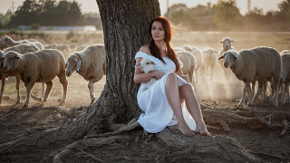 Woman white dress sitting tree - anka zhuravleva free wallpaper