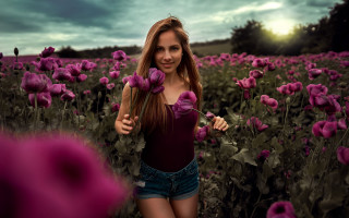Elina karimova purple flower field 2 - portrait photography free wallpaper