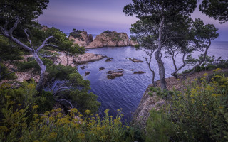 Lake sunset forest bush cherry - arthur b. carles free wallpaper