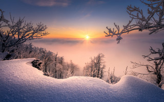 Sunset snowy mountain trees foggy - foggy free wallpaper