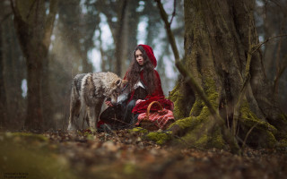Woman red cloak wolf forest - a wolf free wallpaper