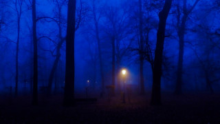 Foggy woods streetlight night moon - florence engelbach free wallpaper