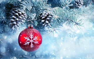 Red ornament snowy branch christmas - a red ornament free wallpaper