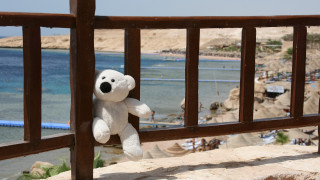 White teddy hanging ocean beach - a white teddy bear free wallpaper