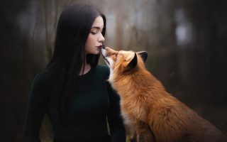 Woman fox kissing woods fog - a fox free wallpaper