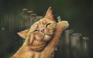 Cat reaching fencepost paw looking - digital painting free wallpaper