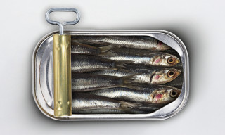 Sardines yellow handle white background - furaffinity free wallpaper