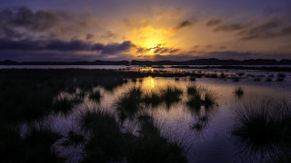 Sunset marsh water island cityscape - a small island in the distance free wallpaper