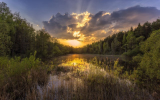 Lake trees grass cloudy sky 5 - the cloud above free wallpaper