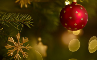 Red ornament christmas tree lights - a red ornament free wallpaper