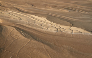 Desert landscape sand grass airbrush - a small patch of grass free wallpaper