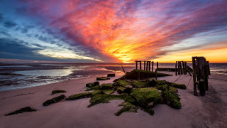 Beach algae sunset clouds cityscape - green alga free wallpaper