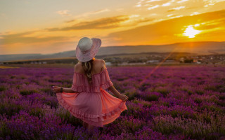 Woman pink dress hat lavender - the sun setting free wallpaper for desktop