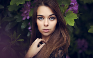 Woman blue eyes purple flowers - a picture in front free wallpaper