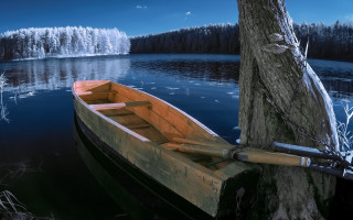 Lake moon tree boat reflection - a full moon in the sky above free wallpaper