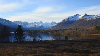 Mountain lake snow capped trees - widescreen free wallpaper