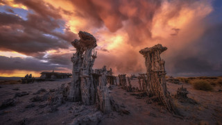 Trees dirt sky clouds city - the dirt free wallpaper