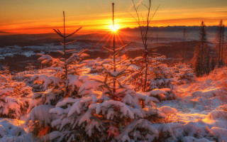 Sunset snowy mountain trees city - a sunset over a snowy mountain free wallpaper