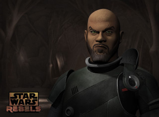 Bald greeneyes forest starwars armor - a bald head free wallpaper