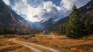 Dirt road field mountain house - a forest in the foreground free wallpaper for desktop