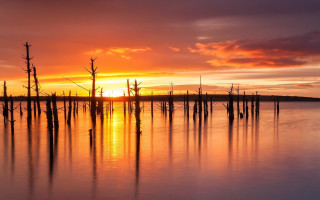 Sunset lake dead trees clouds - dead free wallpaper