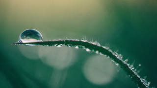 Water drop green leaf macro 3 - a drop of water free wallpaper