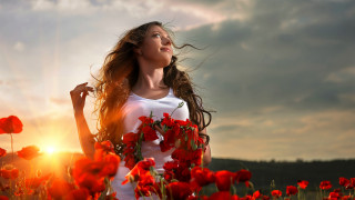 Woman redflowers sunset breeze cinematic - red flower free wallpaper