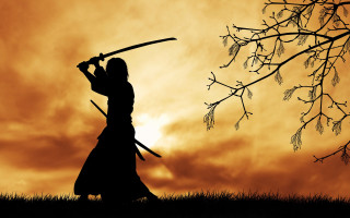 Woman sword tree sunset bamboo - a sword in front free wallpaper for desktop